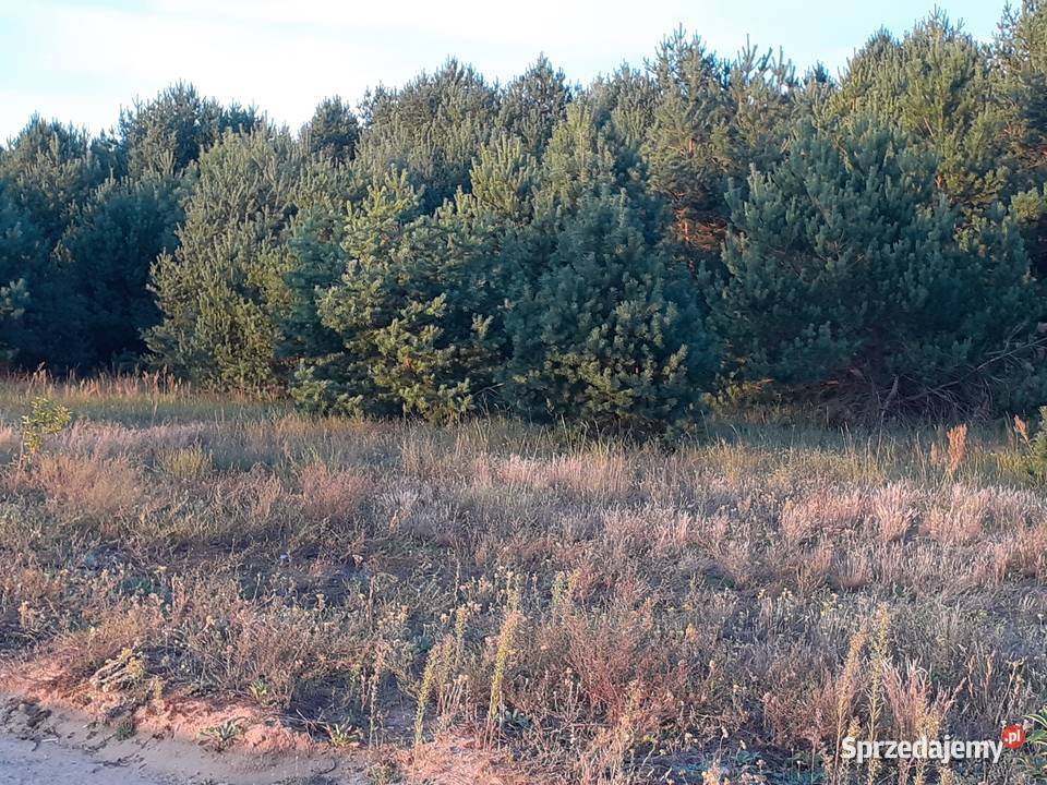 Działka rolna 8300m2 Ploski