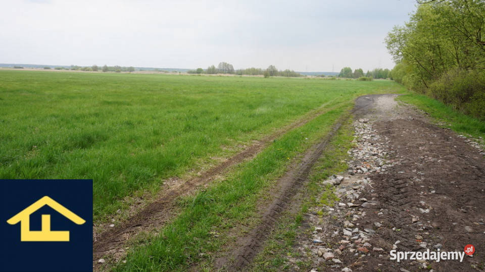 Nieruchomość w Całowaniu mazowieckie