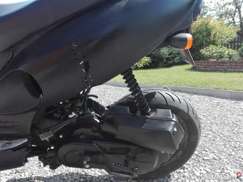 Kingway Koyot Zakrzówek