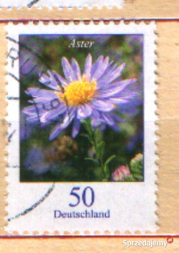 Zn RFN wykaz w opisie kas 2005 Gliwice