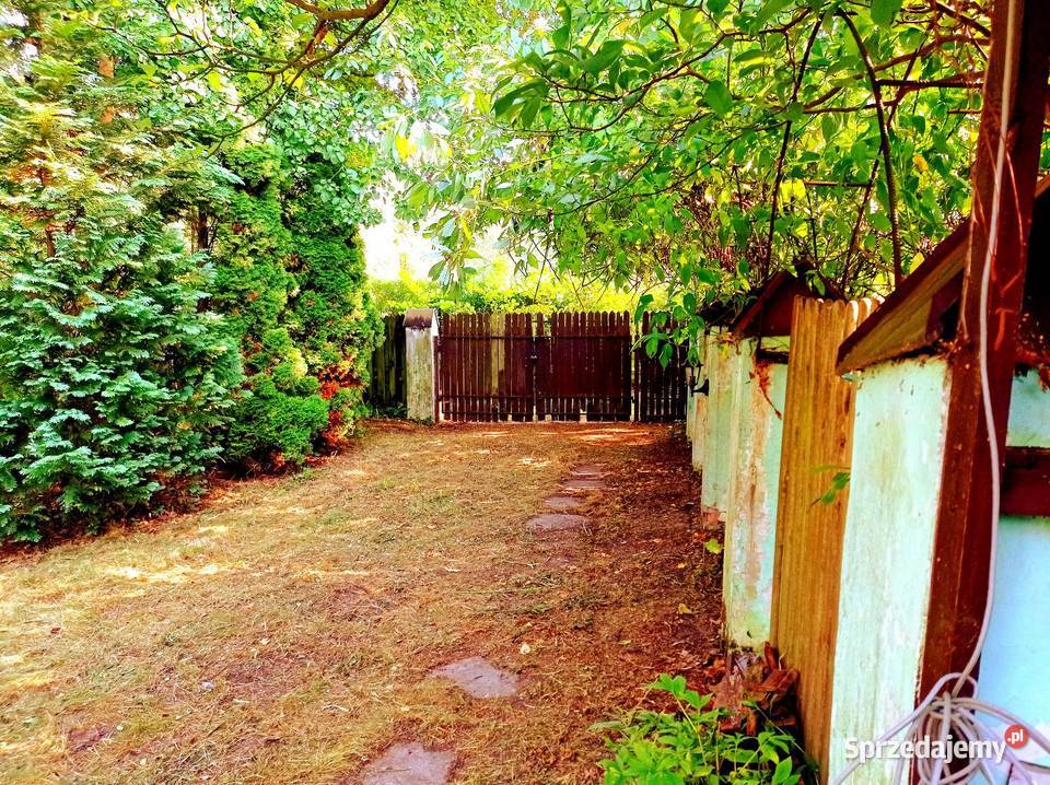 DWA DOMY NA WSI CAŁOROCZNE POD LASEM OKAZJA Chynów