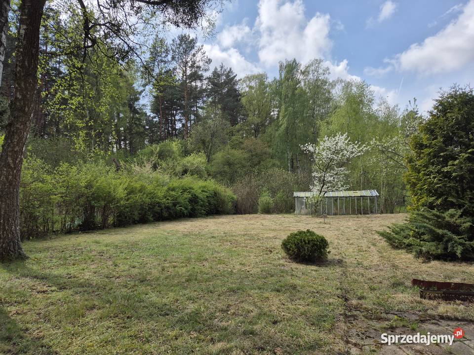 Ogród działkowy ROD Międzylesie Wójtowej Roli 847m2 Olsztyn
