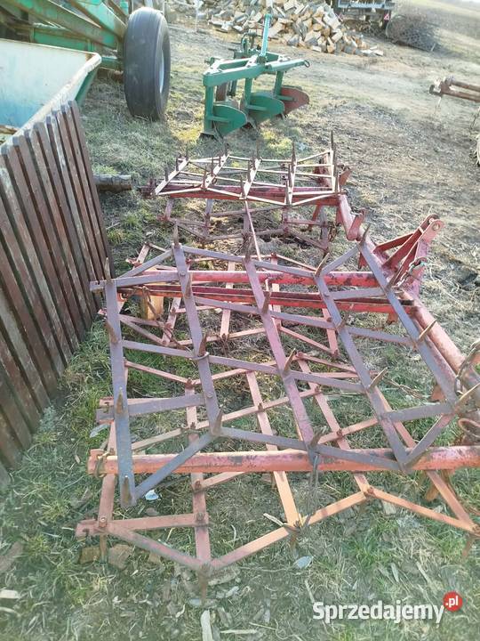 Brony 5 polowe polskie możliwość dowozu mazowieckie Gózd