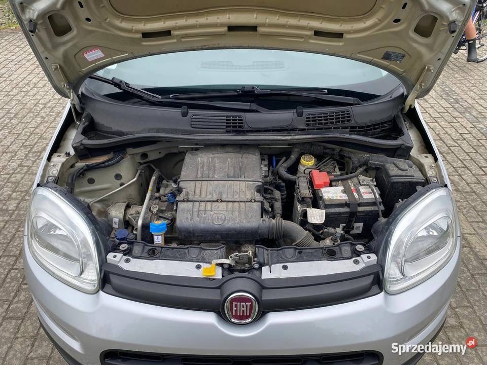 Fiat Panda 12 Benzyna Nowości w Rodzinie Zarejestrowany w Polsce Lębork