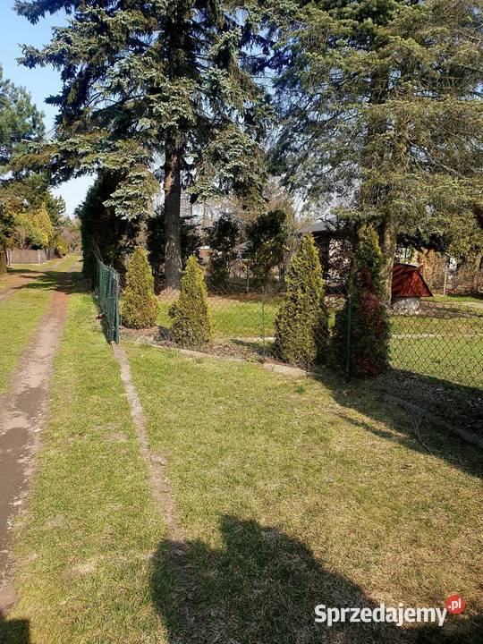 Działka ROD Paluch Miejski Sprzedaż Nieruchomości Warszawa sprzedam
