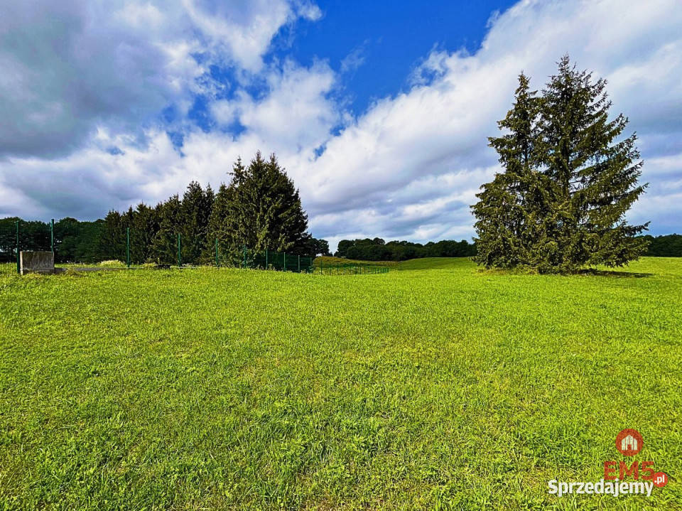 Działka 3100m2 Ogonki