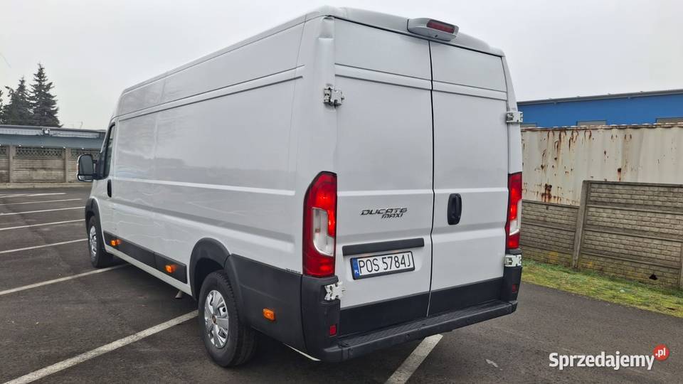 Fiat Ducato 23 Multi Jet 2019 r Ostrów Wielkopolski