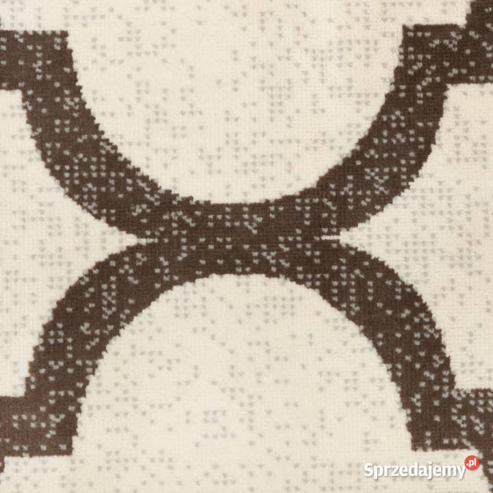 Dywan zewnętrznywewnętrzny kolorowy 190x300 mazowieckie Warszawa