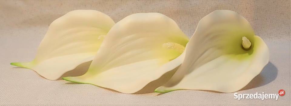 Kalia sztuczna wyrobowa gumowana do bukietów 2 Siewierz