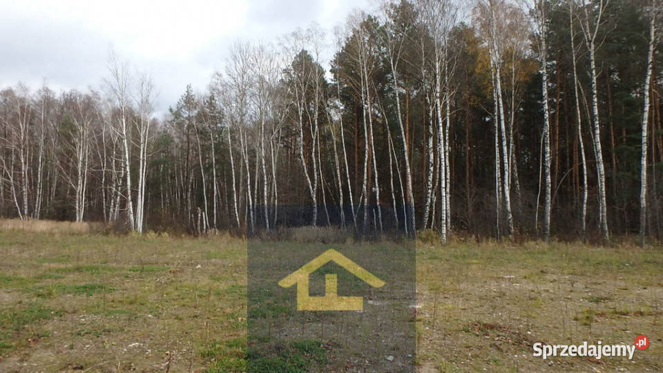 Działka budowlana w gminie Wiazowna Sprzedaż Żanecin