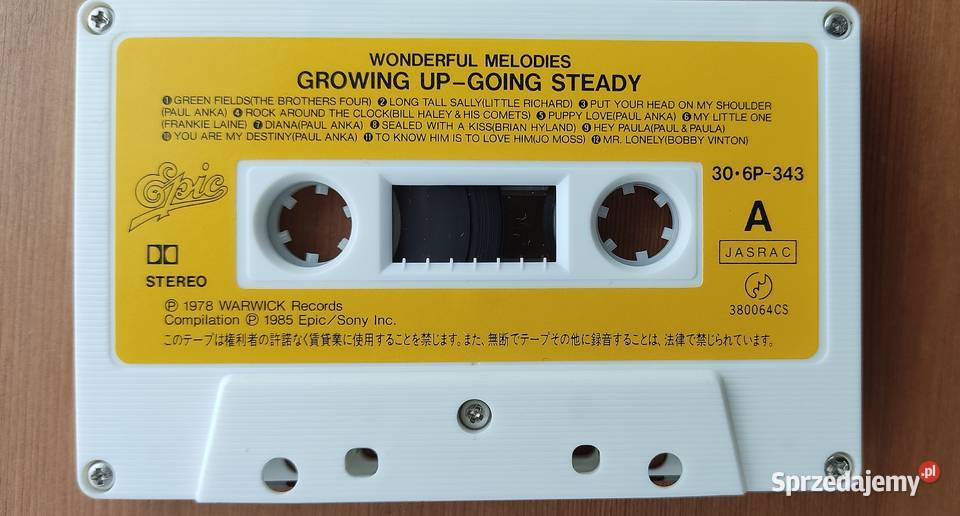 Wonderful Melodies Growing Up Going Steady Bochnia sprzedam