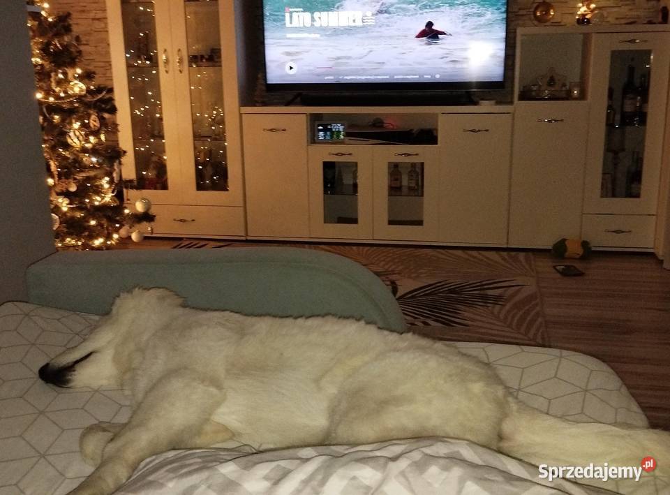 Toyota Yaris 2003 Rzeszów