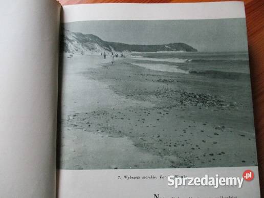 i ich pierwotne fragmenty przyroda krajobraz Łódź