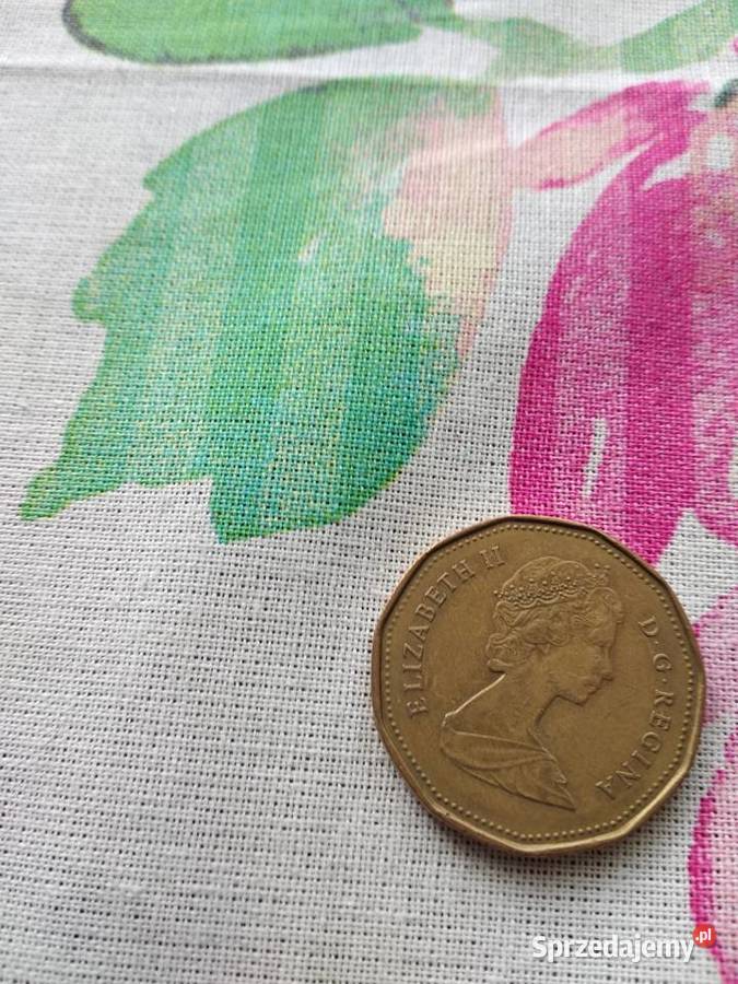 moneta canada dollar 1989 Poznań sprzedam