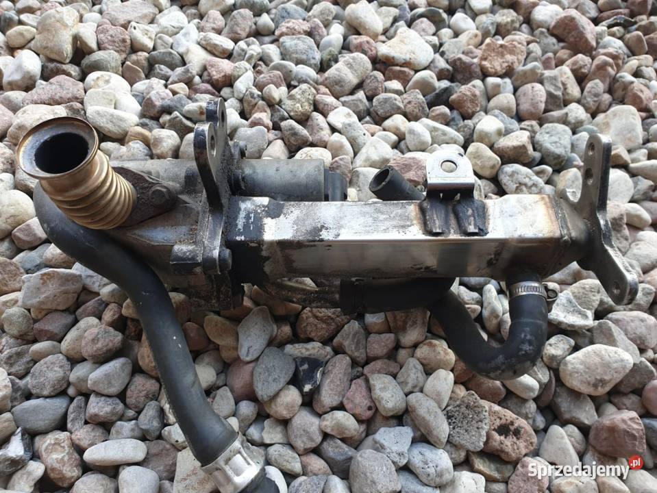 Volvo S60 S80 XC70 V70 XC70 XC90 kompletny EGR lubelskie