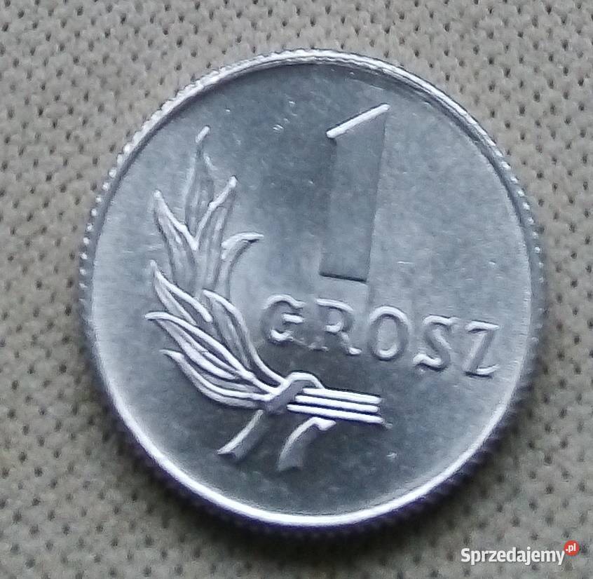 POLSKA1 GROSZ 1949 r bzmALŁADNA Legionowo