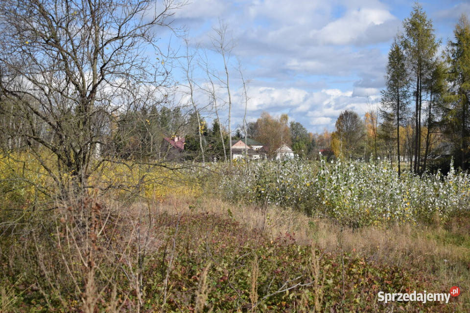 Działka 1937a Rzeszów