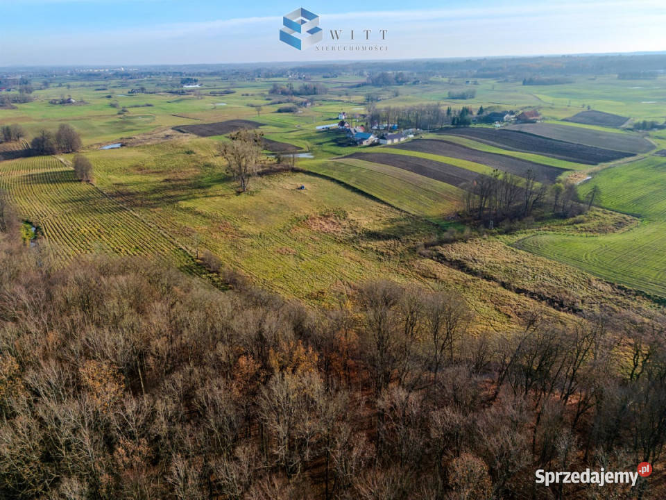 sprzedaży gruntu Jędrychówko 53400m2 sprzedam