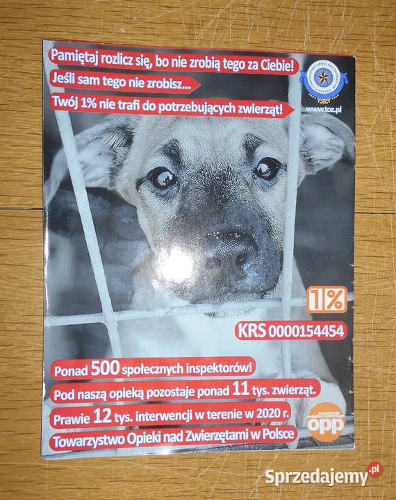 Miesięcznik Mój pies lutymarzec 2021 Kasia Parczew