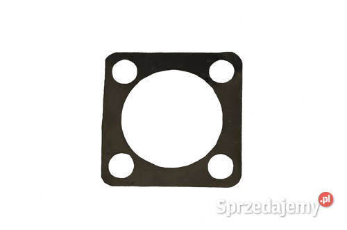 R156636 Sworzeń regulacji uszczelki komplet John