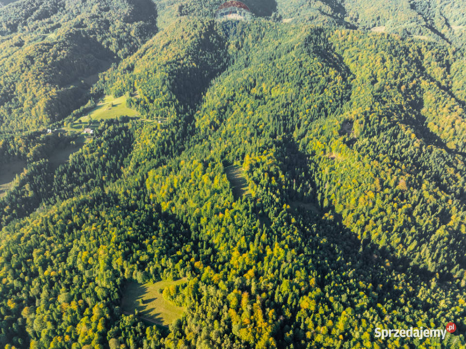 Polana w lesie 35m Harklowa sprzedam