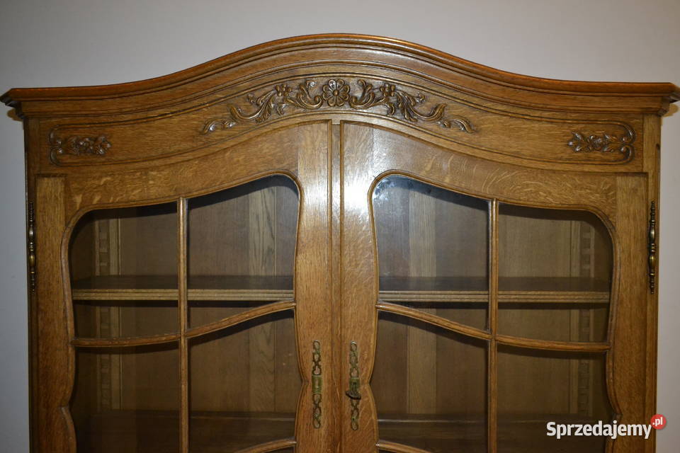 witryna ludwikowska lity dąb Będzin