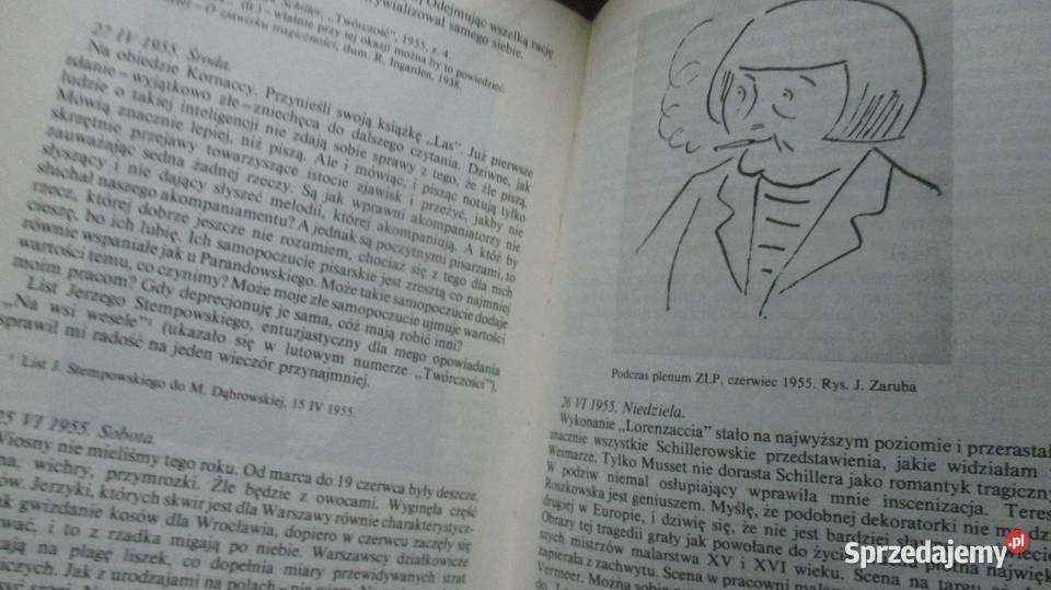 Maria Dąbrowska DZIENNIKI wspomnienia pamietniki Łódź sprzedam