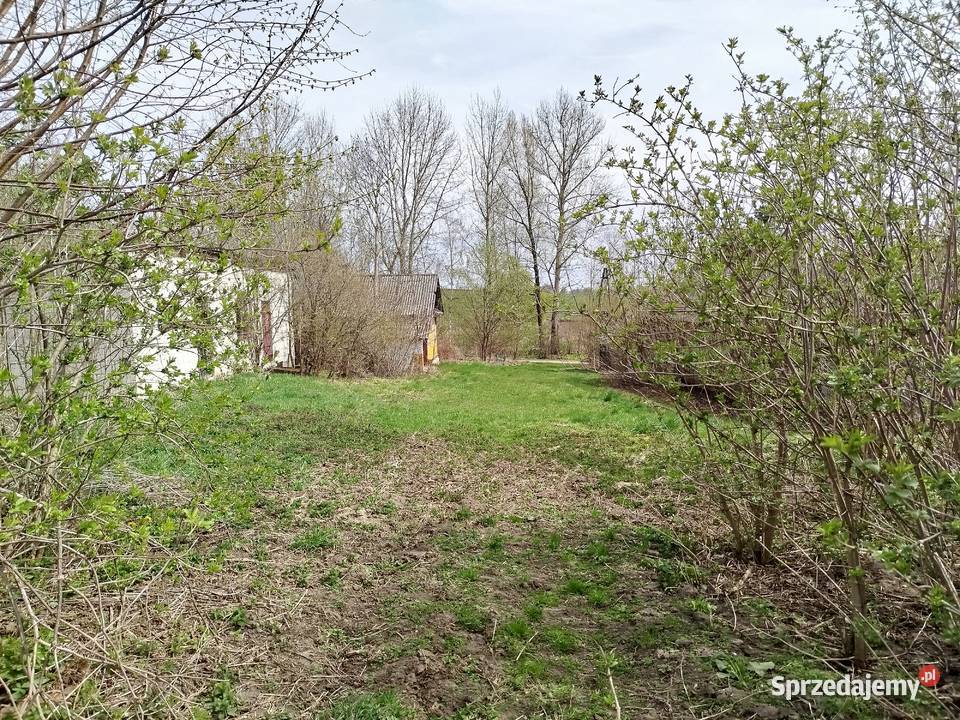 Sprzedam siedlisko z polem ornym klasy asfalt Sprzedaż Telatyn