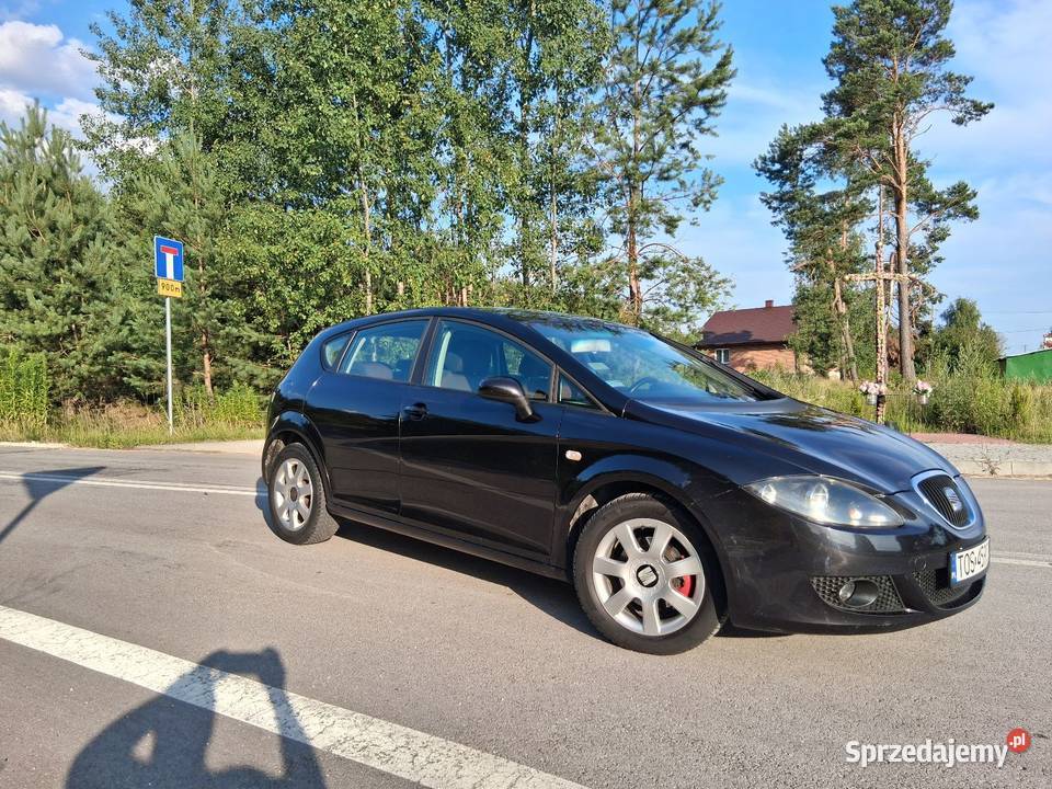 Seat Leon 2 19 tdi