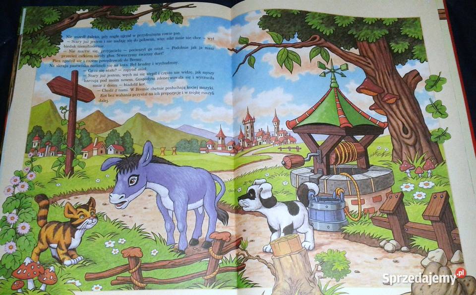 Baśnie dzieci Jacob i Wilhelm Grimm Rok wydania 2004 Chełm