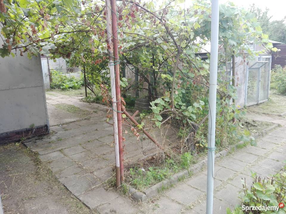 Działka Altana gołębnik i woliera Drozdowa 300m2 sprzedam