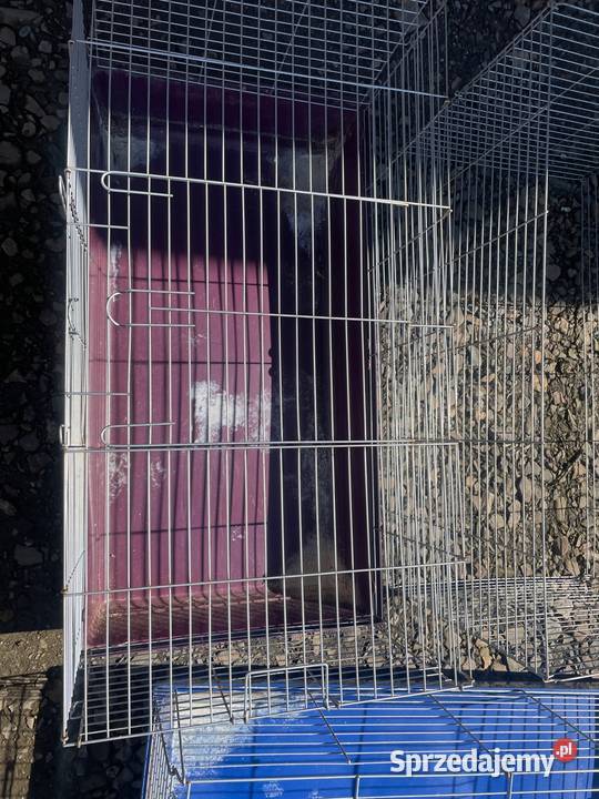 Klatki królika 2 1 Bielsko-Biała