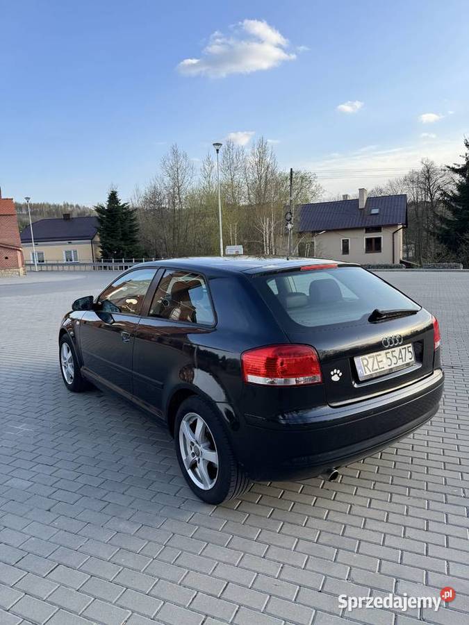 Audi A3 8P 16 MPI 102 Rzeszów