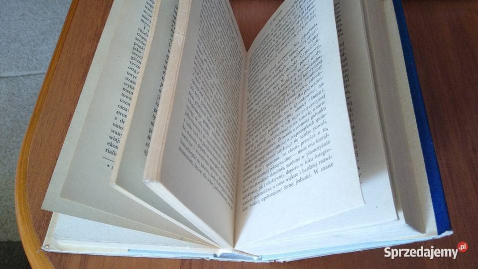 Wprowadzenie do ontologii bytu społecznego 21 sprzedam