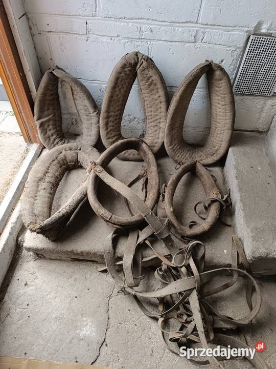 Zabytkowe akcesoria konne chomąto uprząż homonto Rzeszów
