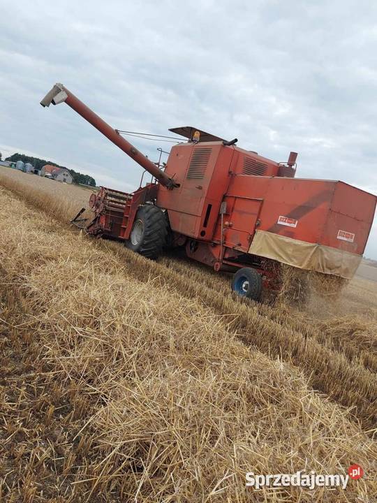 Kombajn bizon zo56 wielkopolskie Zieliniec
