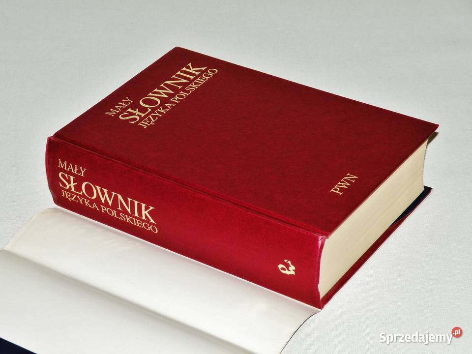 Mały słownik języka polskiego PWN 1994 Bydgoszcz
