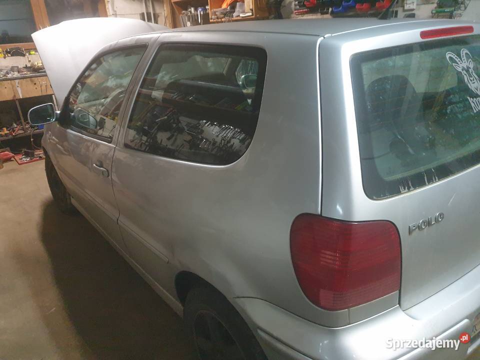Polo 19sdi Bukowina Tatrzańska