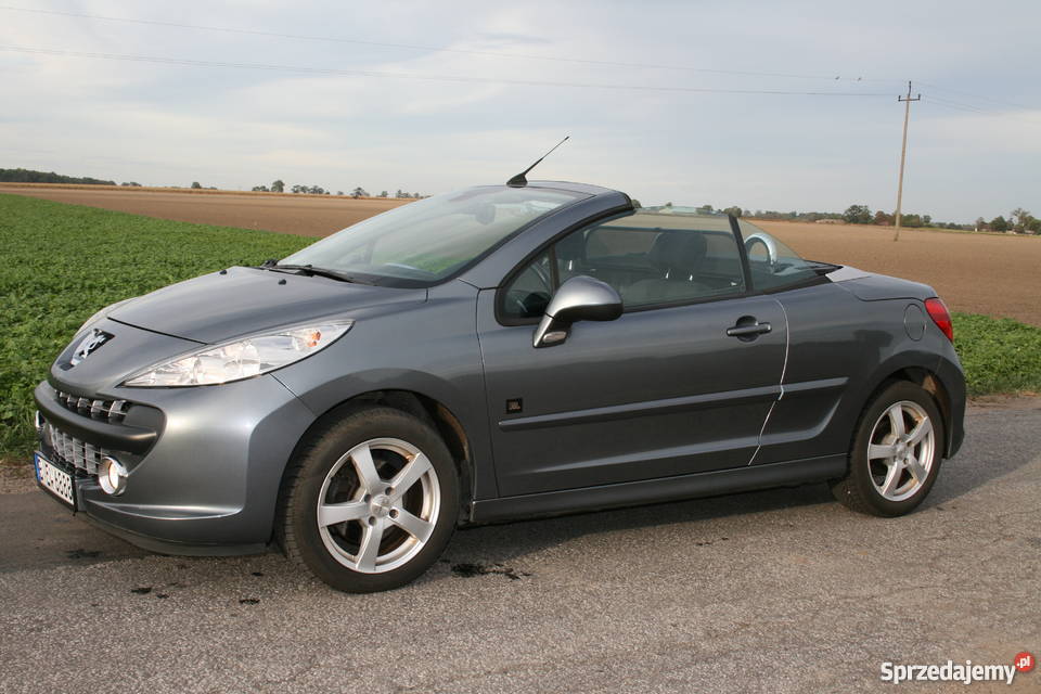 Jbl peugeot 207