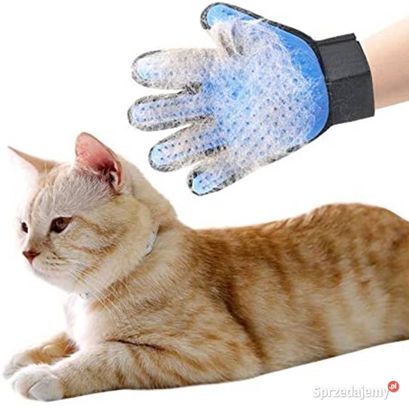 Rękawica do czesania zwierzaków do wyczesywania Płock