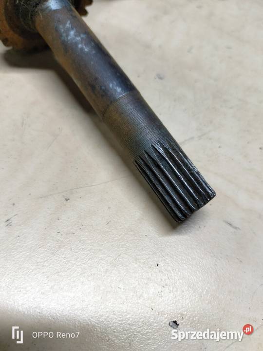 Komar jajko wałek startera Łubno