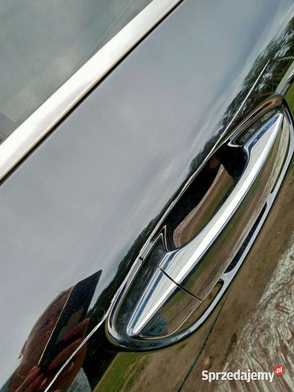DRZWI PRAWE TYŁ TYLNE CITROEN C4 PICASSO II EXYB wielkopolskie Rakoniewice