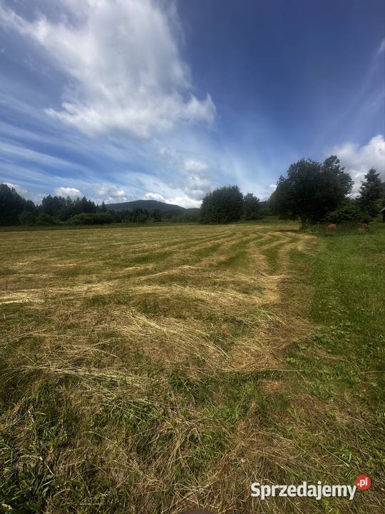 Widokowa działka w Beskidach Tatry i Babia Góra małopolskie Zubrzyca Górna