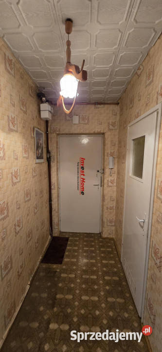 Mieszkanie CzerwionkaLeszczyny 5152m2 1 pokój Mieszkania śląskie