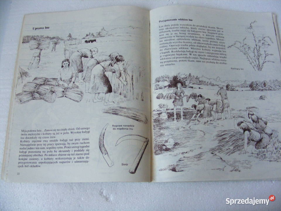 Warowny gród z epoki żelaza Biskupin Soberski Rok wydania 1978 Oborniki Śląskie