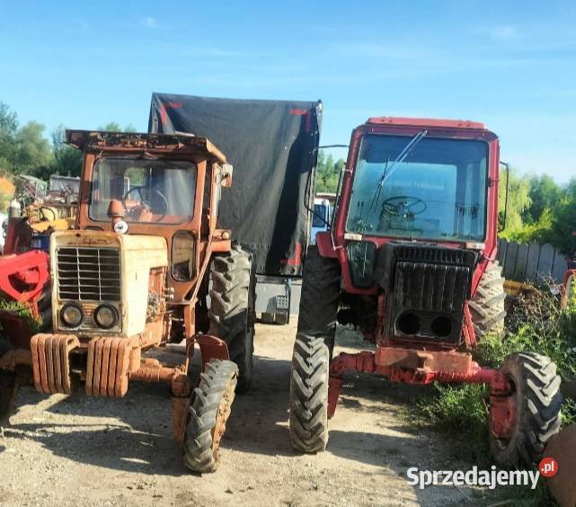 MTZ 82 4x4 Duża Kabina Busko-Zdrój