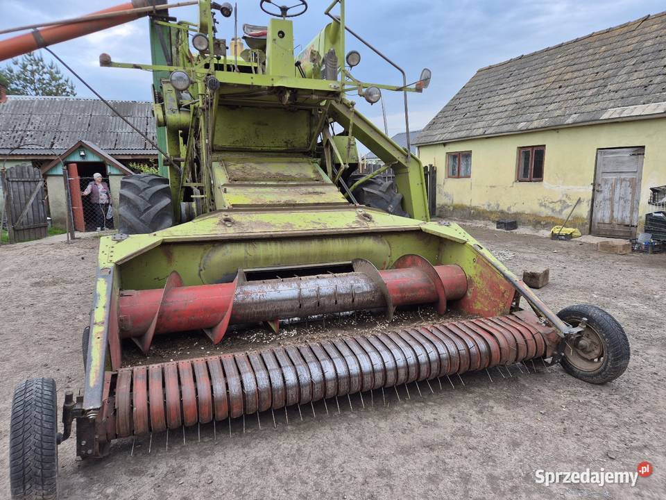 Kobajn do fasoli claas matador gigant nieuszkodzony Maszyny rolnicze Modryń-Kolonia sprzedam
