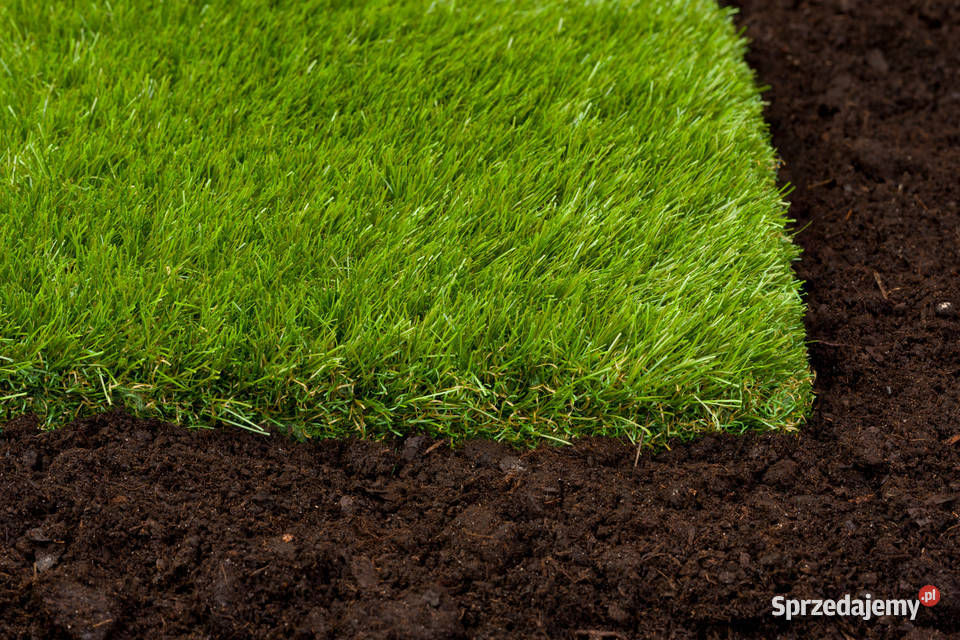 Sztuczna trawa w jakości premium SEWI GRASS Projektowanie i zakładanie ogrodów wielkopolskie Poznań