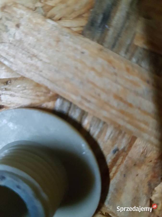 ŚLIMAK POMPY OLEJU DO PILARKI PIŁY SPALINOWEJ sprzedam