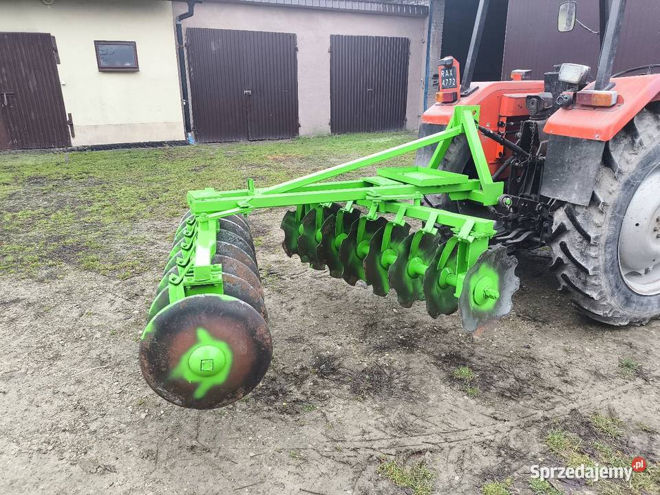 Talerzowka mazowieckie Chechły